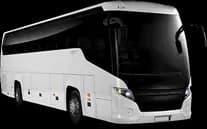 Coach