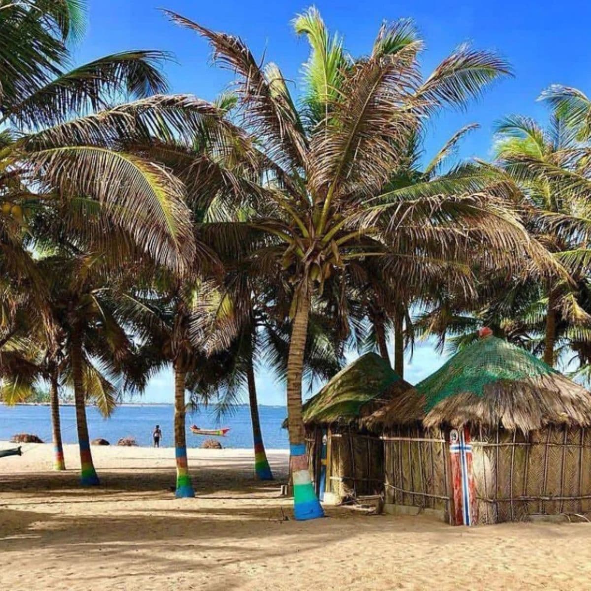 Ada Beach & Volta River Boat Cruise: Coastal Escape from Accra tour experience