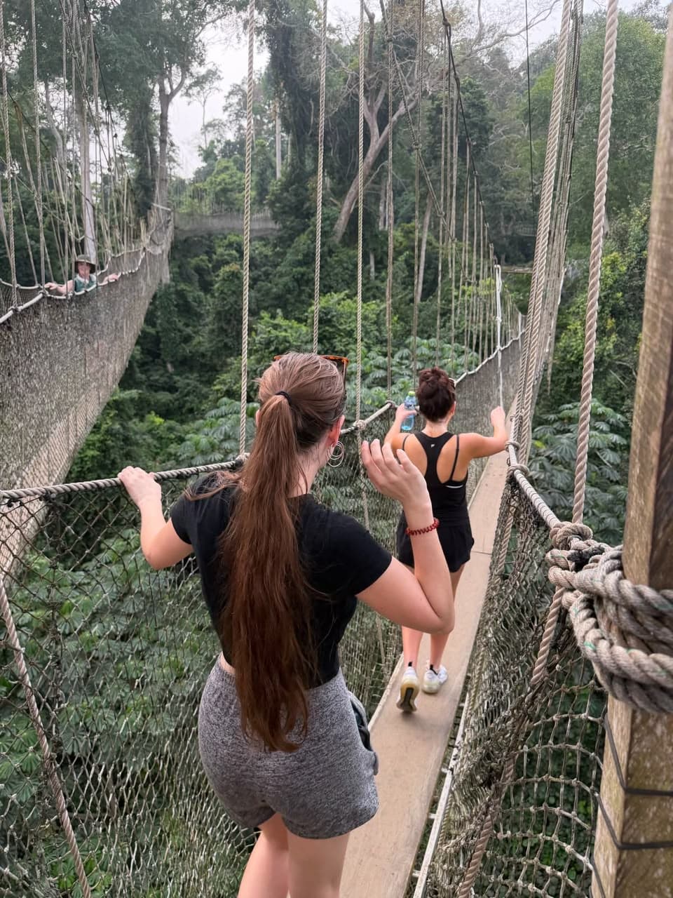 The rainforest canopy of Kakum National Park