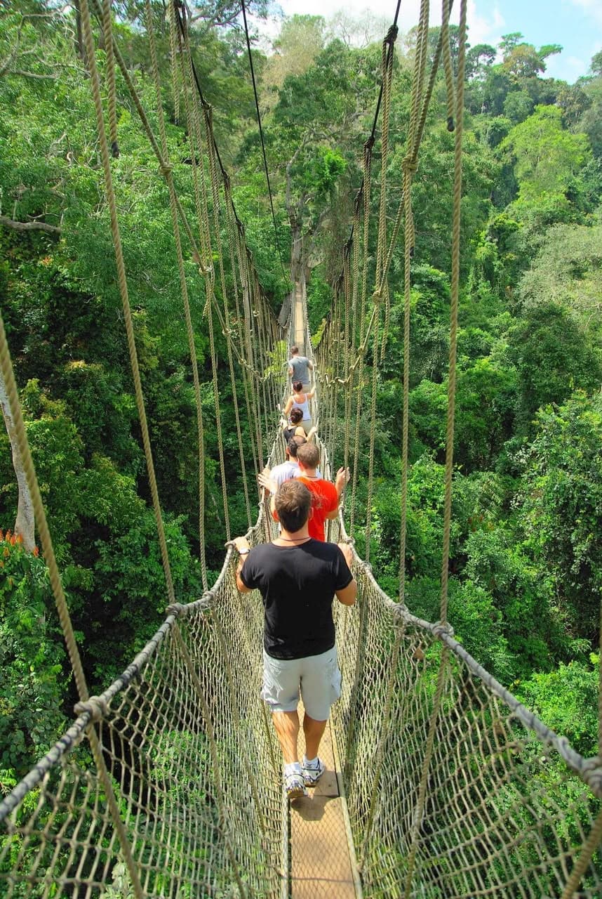 Lush green rainforest stretching across the Kakum National Park landscape