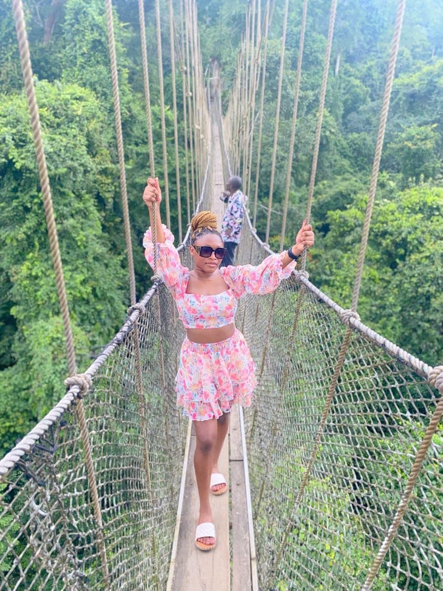 Another perspective of the canopy walkway through the trees