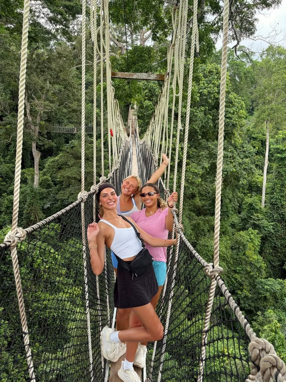 Visitors crossing the canopy bridges high above the forest floor