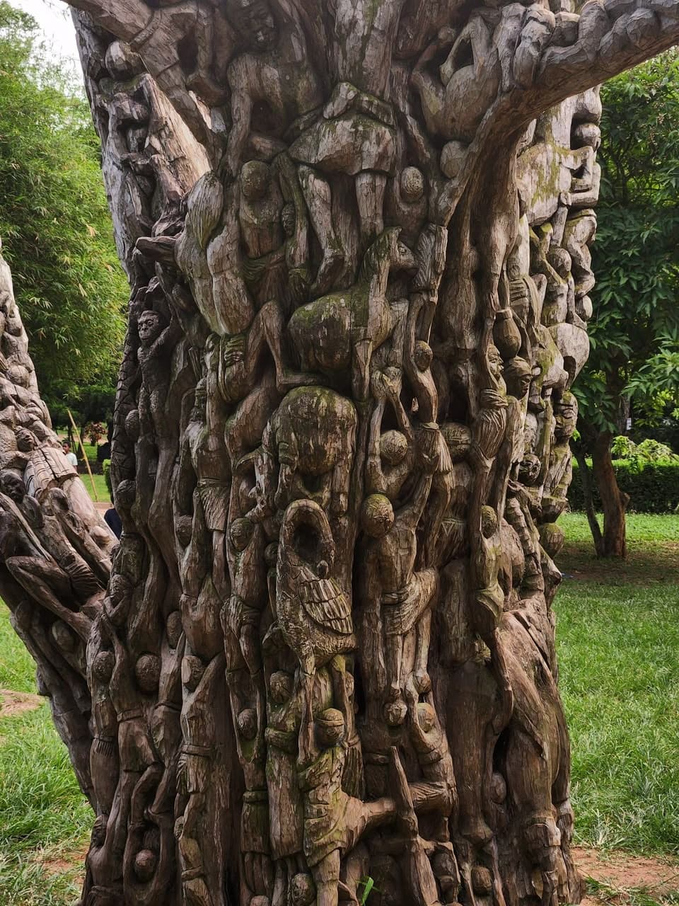 The iconic Tree of Life at Aburi Gardens