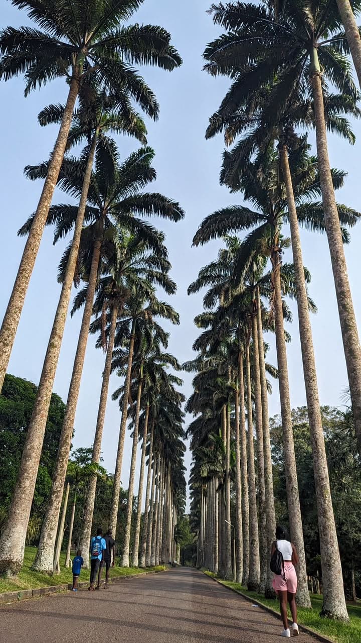 Explore Eastern Ghana at Your Own Pace tour experience