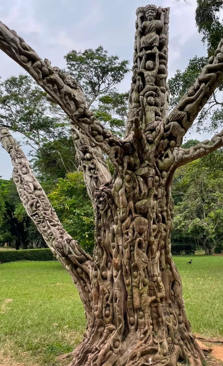 Close-up view of the remarkable Tree of Life specimen