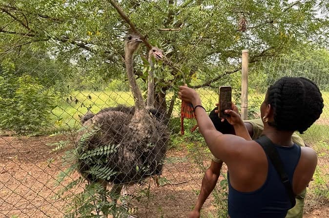 Shai Hills Safari: Hiking, Wildlife & Caves Near Accra tour experience