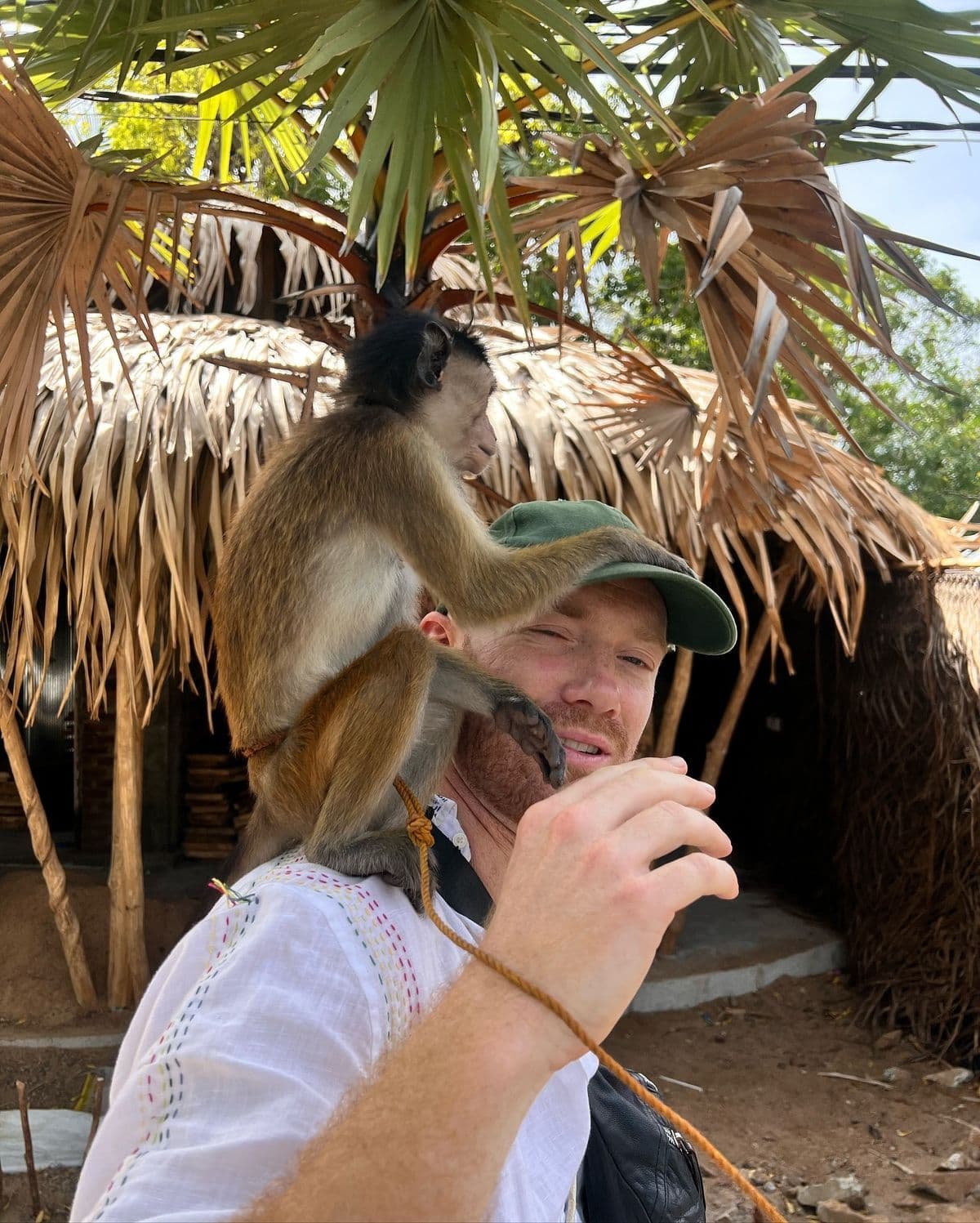 Monkey sitting on visitor's shoulder at Tafi Atome