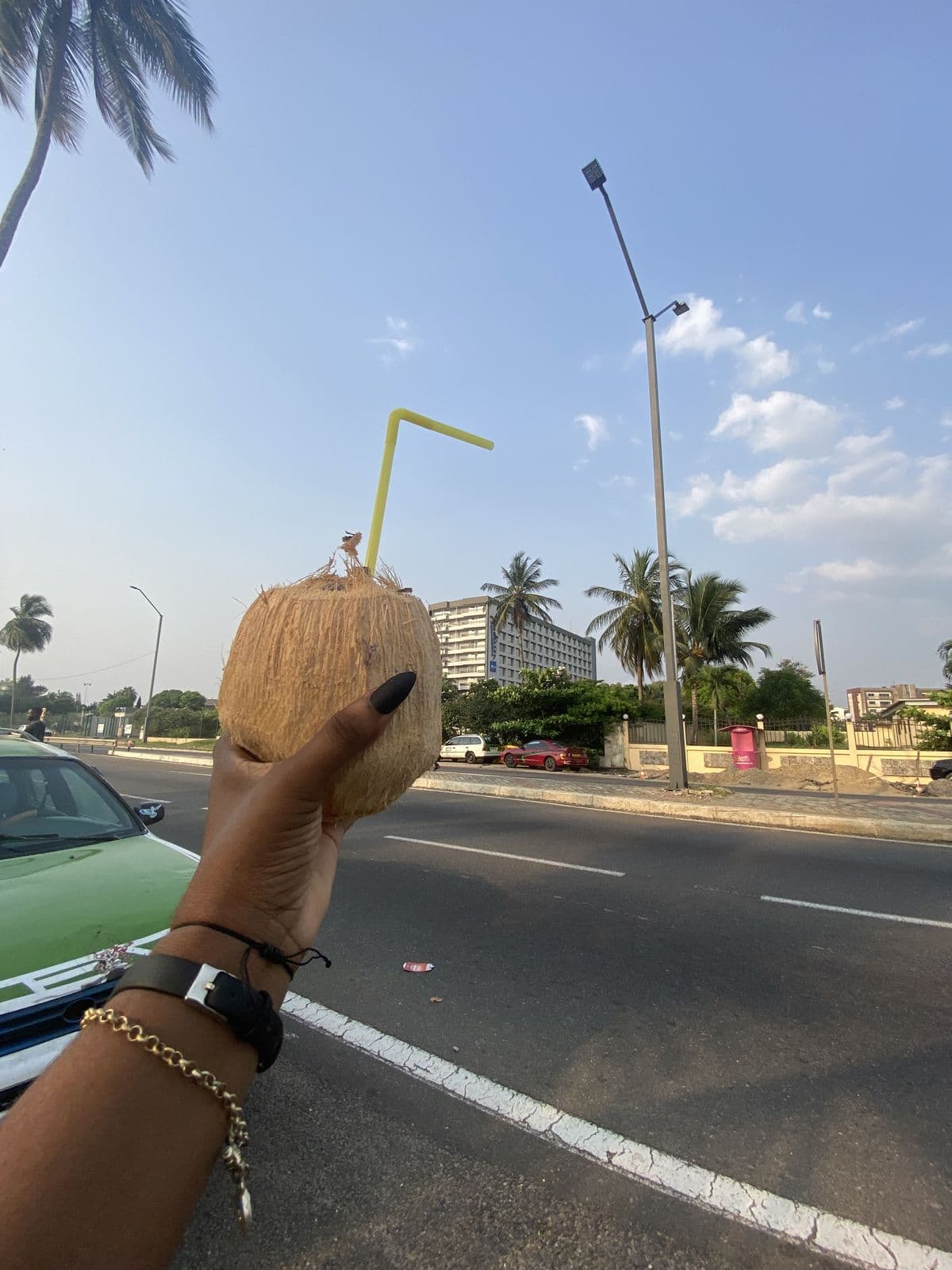 3-Day Volta Adventure: Waterfalls, Afadjato & Monkeys tour experience
