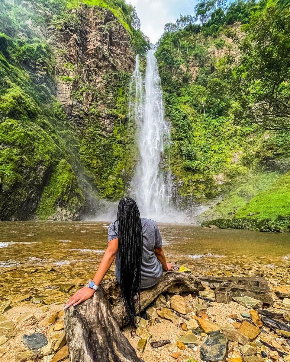 Wli Waterfalls Day Tour tour experience